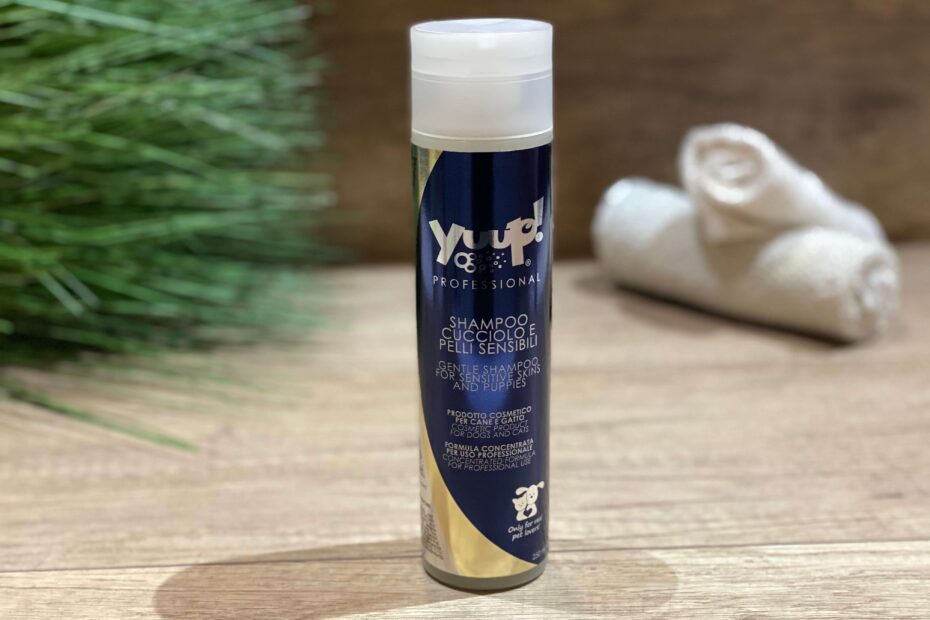 szampon dla maltańczyka yuup professional gentle shampoo