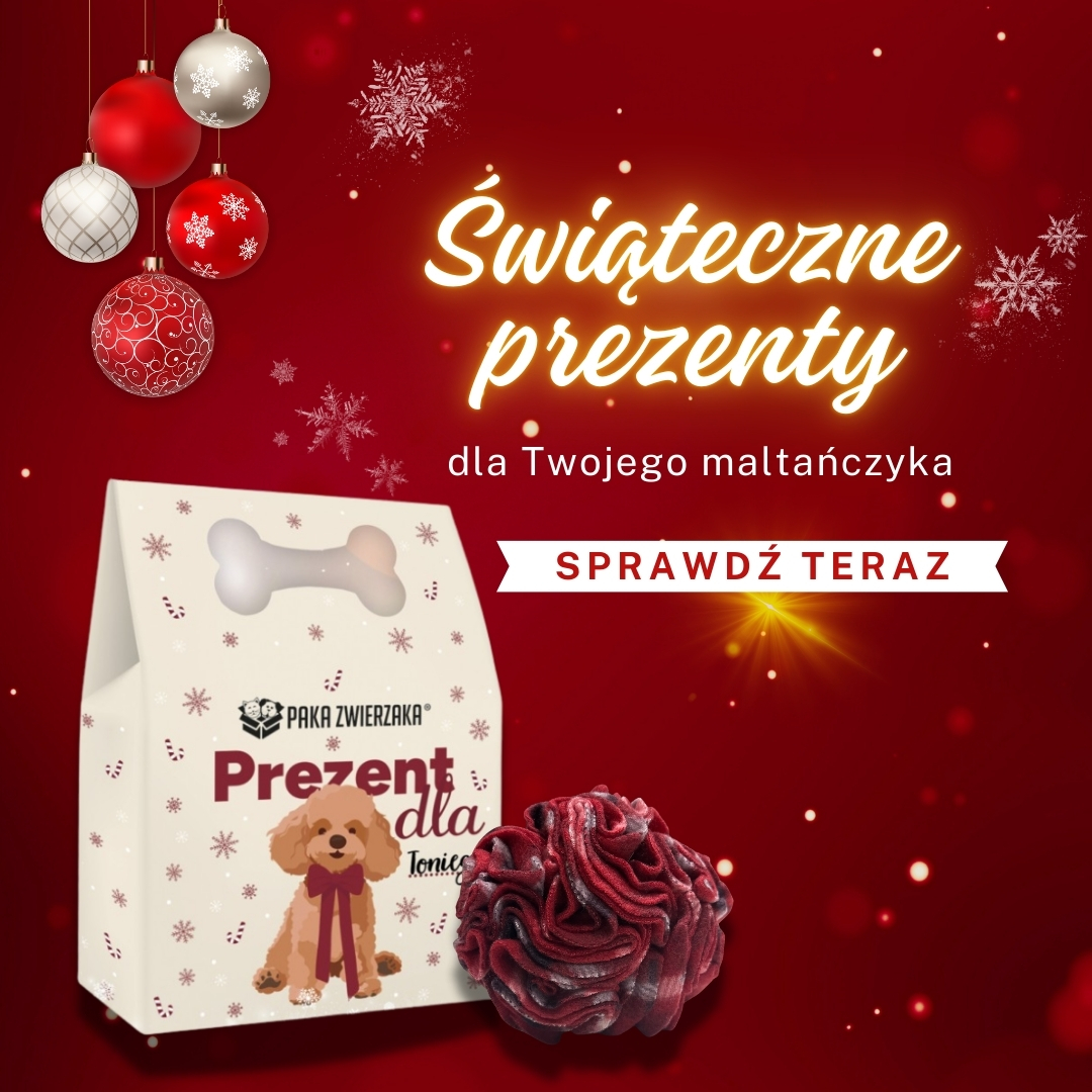 maltanczyk shop, sklep dla maltanczykow