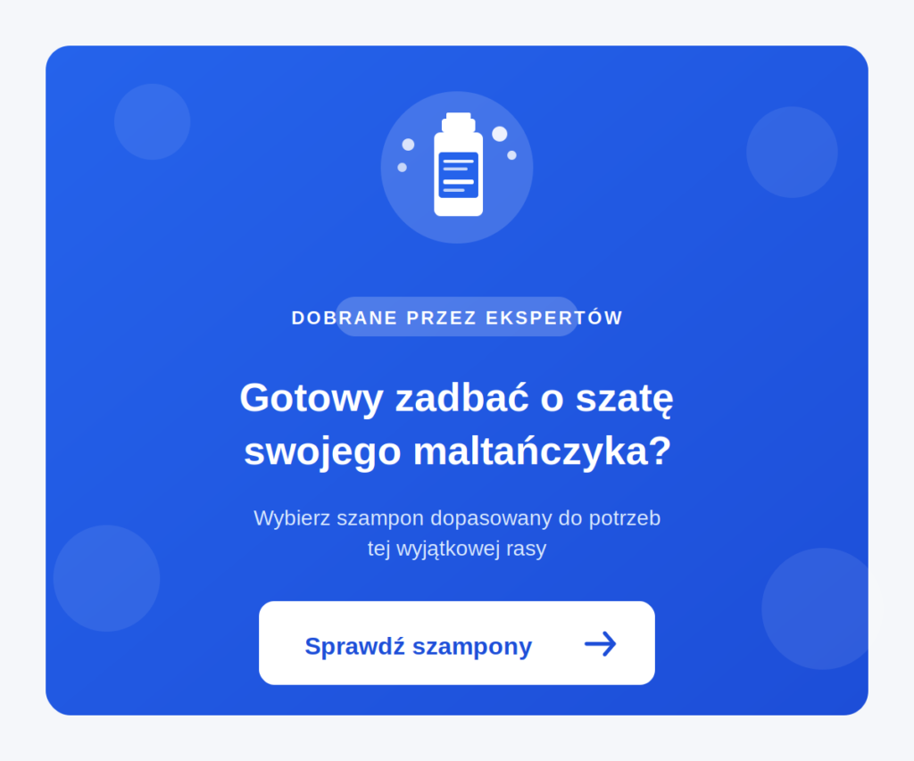 kąpiel maltańczyka