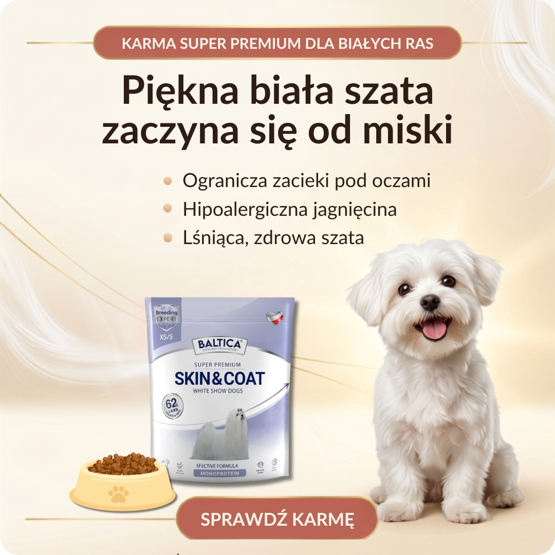 maltanczyk shop