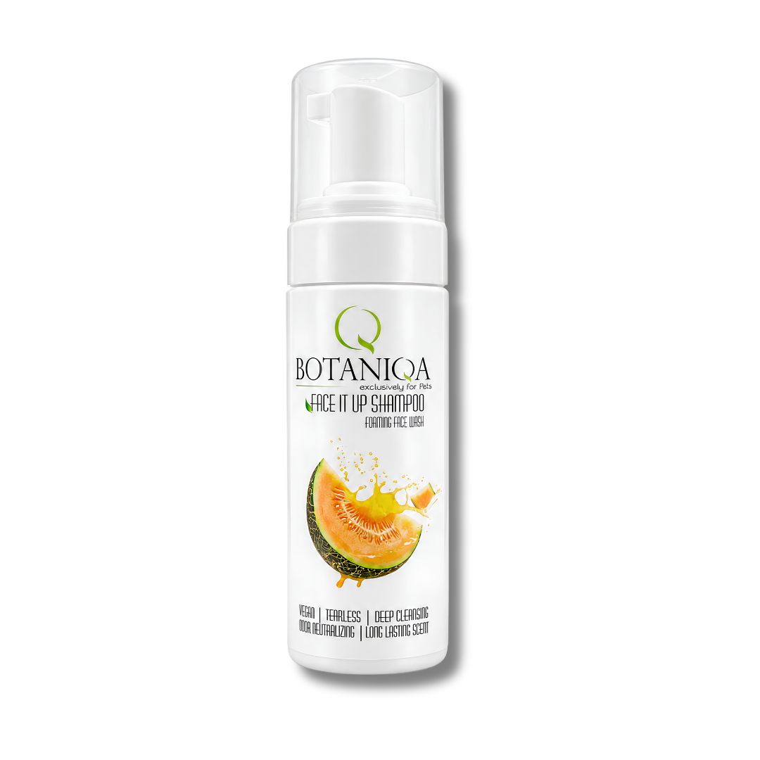 botaniqa face it up shampoo foam